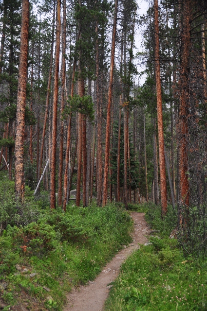 East Inlet Trail